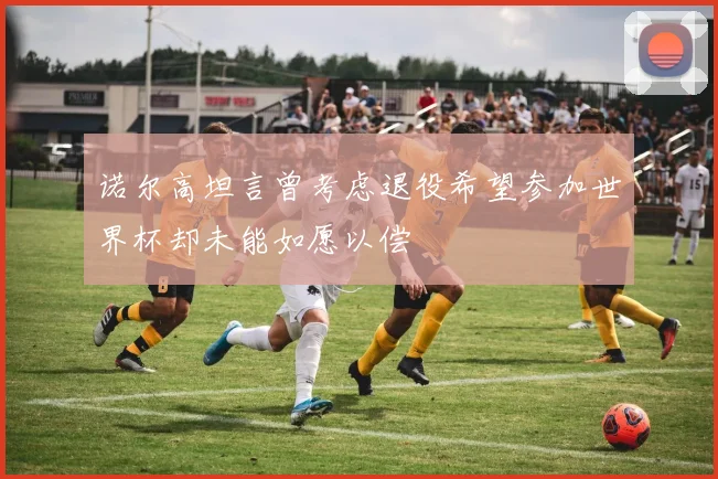 诺尔高坦言曾考虑退役希望参加世界杯却未能如愿以偿