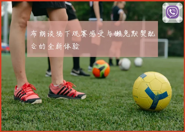 布朗谈场下观赛感受与獭兔默契配合的全新体验