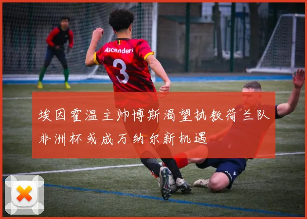 埃因霍温主帅博斯渴望执教荷兰队非洲杯或成万纳尔新机遇