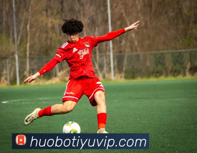 App Interface Preview