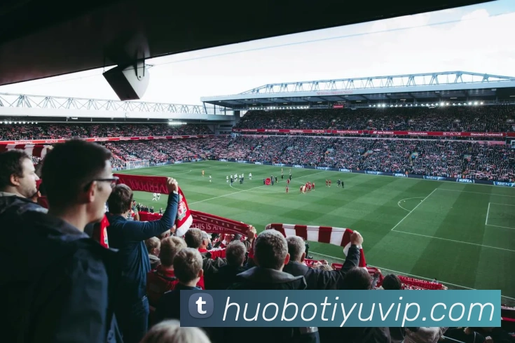 火博体育APP 封面图